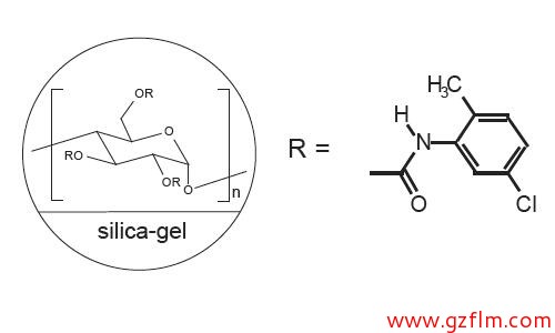 FLM Chiral NY(2) FLM Chiral NY(2)